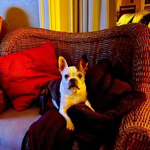 Meet your Posher, L.